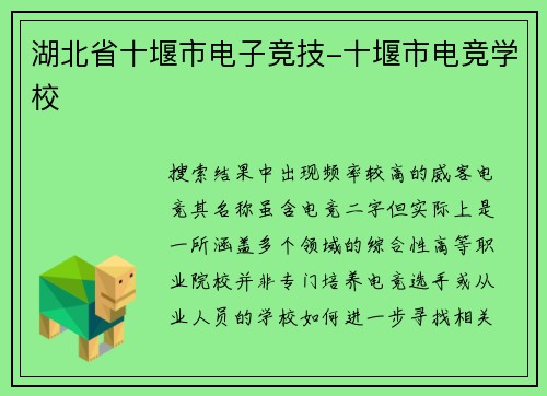 湖北省十堰市电子竞技-十堰市电竞学校